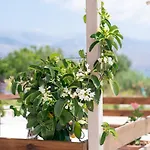 Apartment Casa Di Colona - κόκκινο *