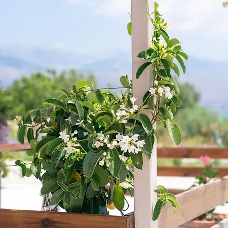 Apartamento Casa Di Colona - κόκκινο *