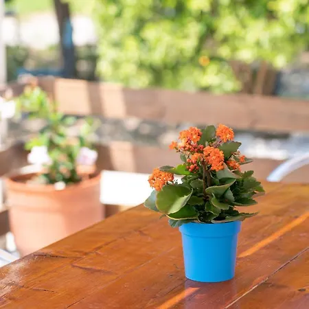 Casa Di Colona - κόκκινο Lixúri